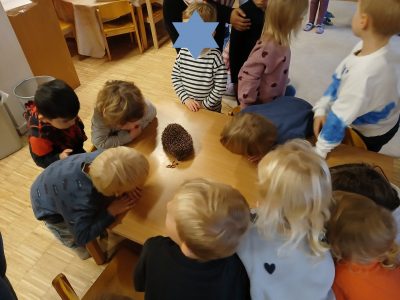 Ein stacheliger Besucher im Haus für Kinder Sonnenschein